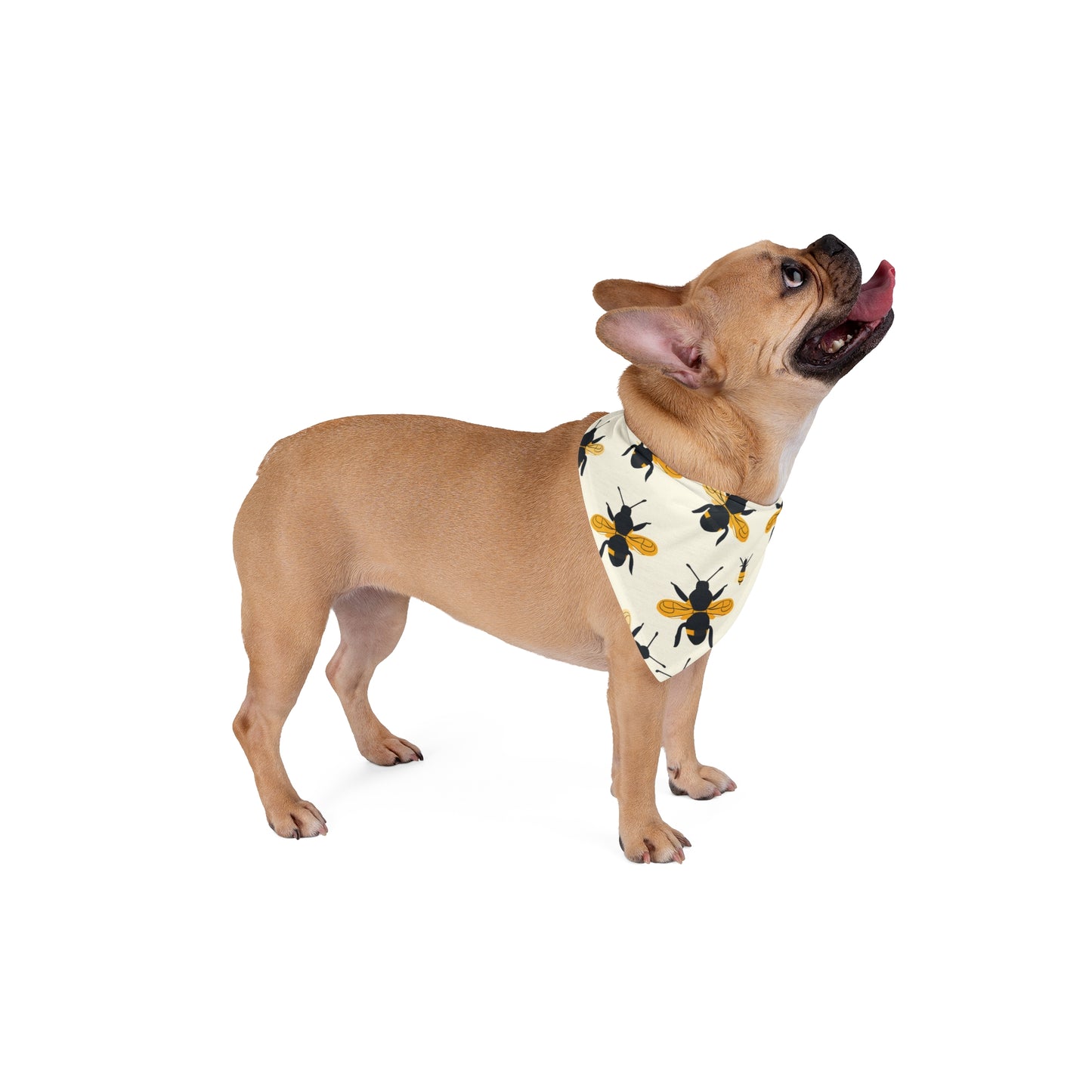 Buzzing Bee Pet Bandana | Cute Dog Accessories, Summer Fashion, Gift for Dog Lovers, Pet Costume, Outdoor Adventures