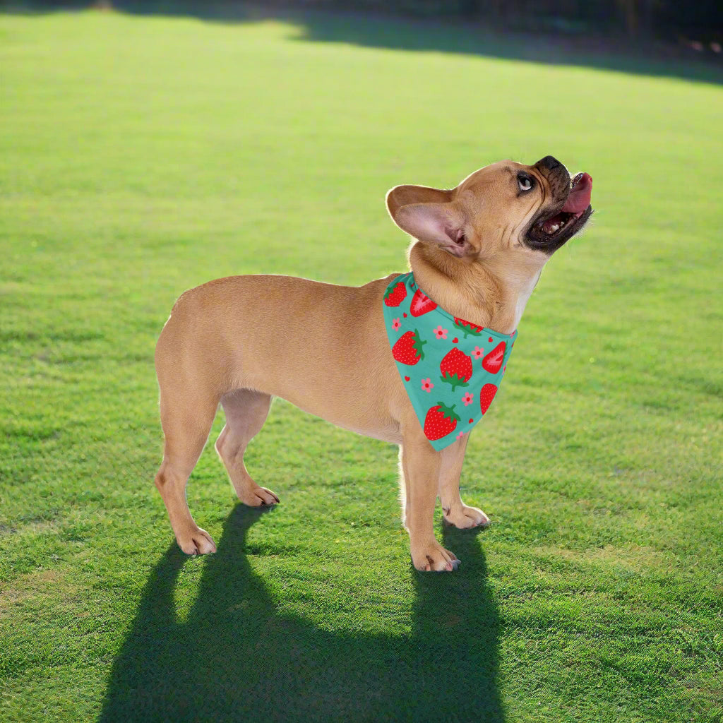 Cute Strawberry Pet Bandana