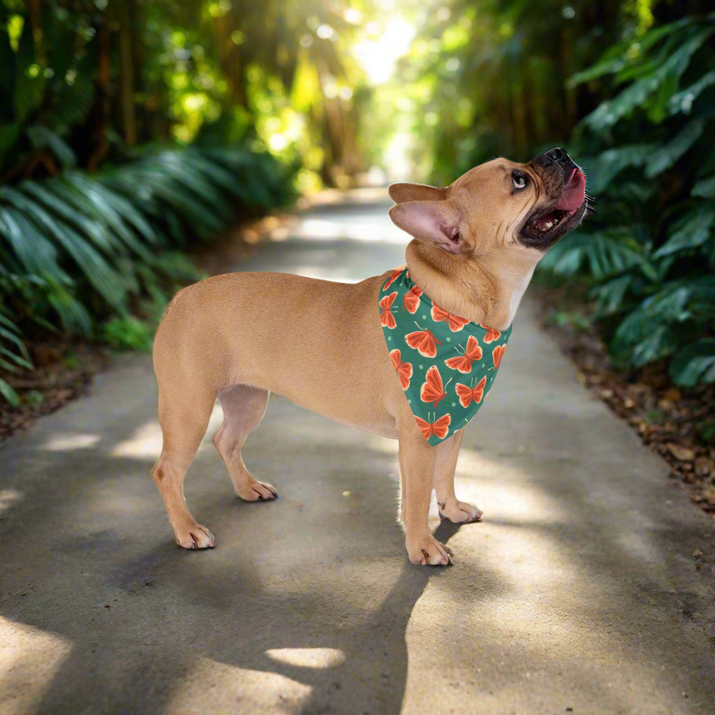 Cute Butterfly Pet Bandana