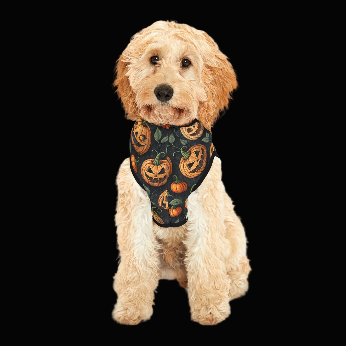 Halloween Pet Hoodie with Jack-o'-Lanterns | Pumpkin Costume, Autumn Apparel, Pet Halloween Outfit, Fall Fashion, Spooky Pet Wear