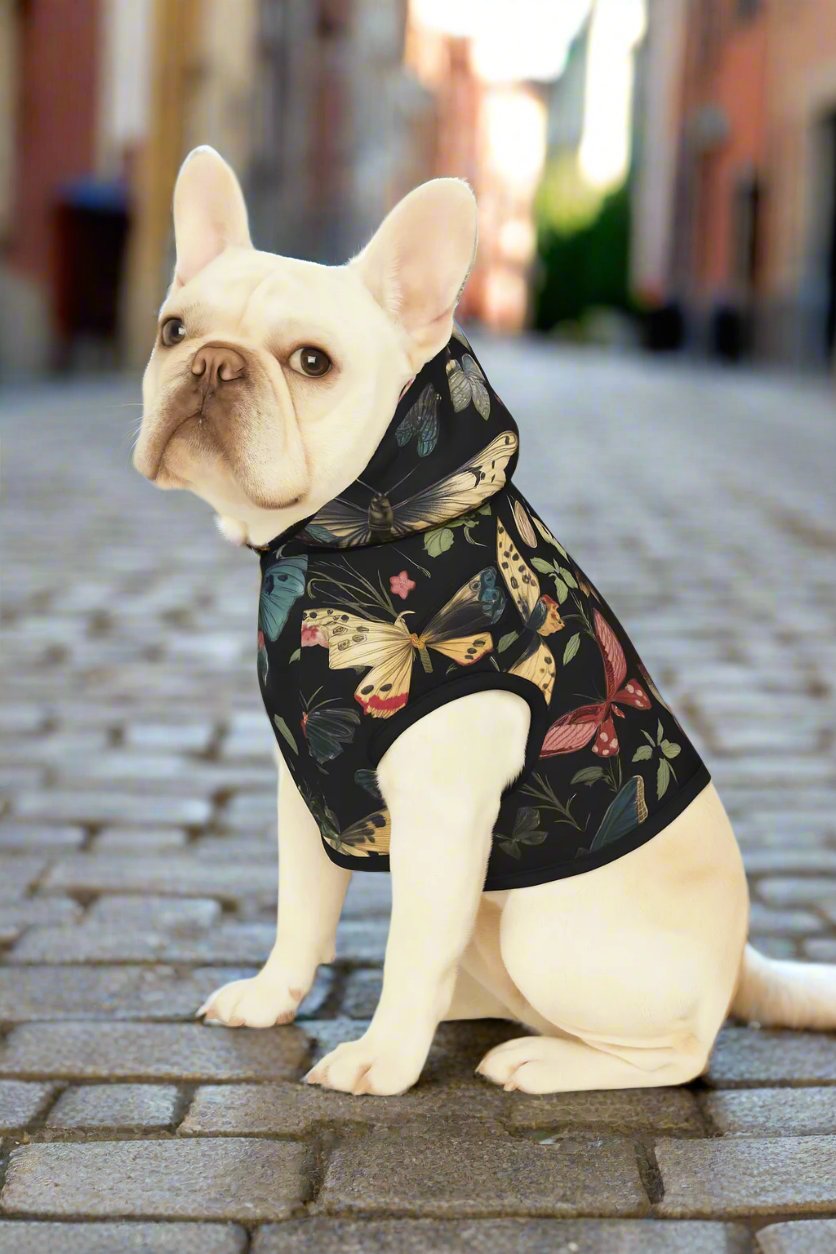 Dog Hoodies