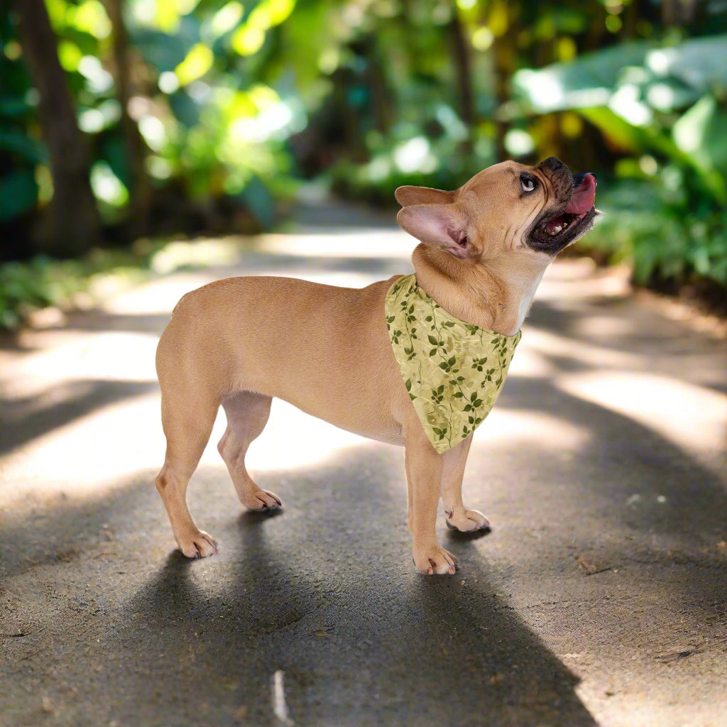 Floral Pet Bandana